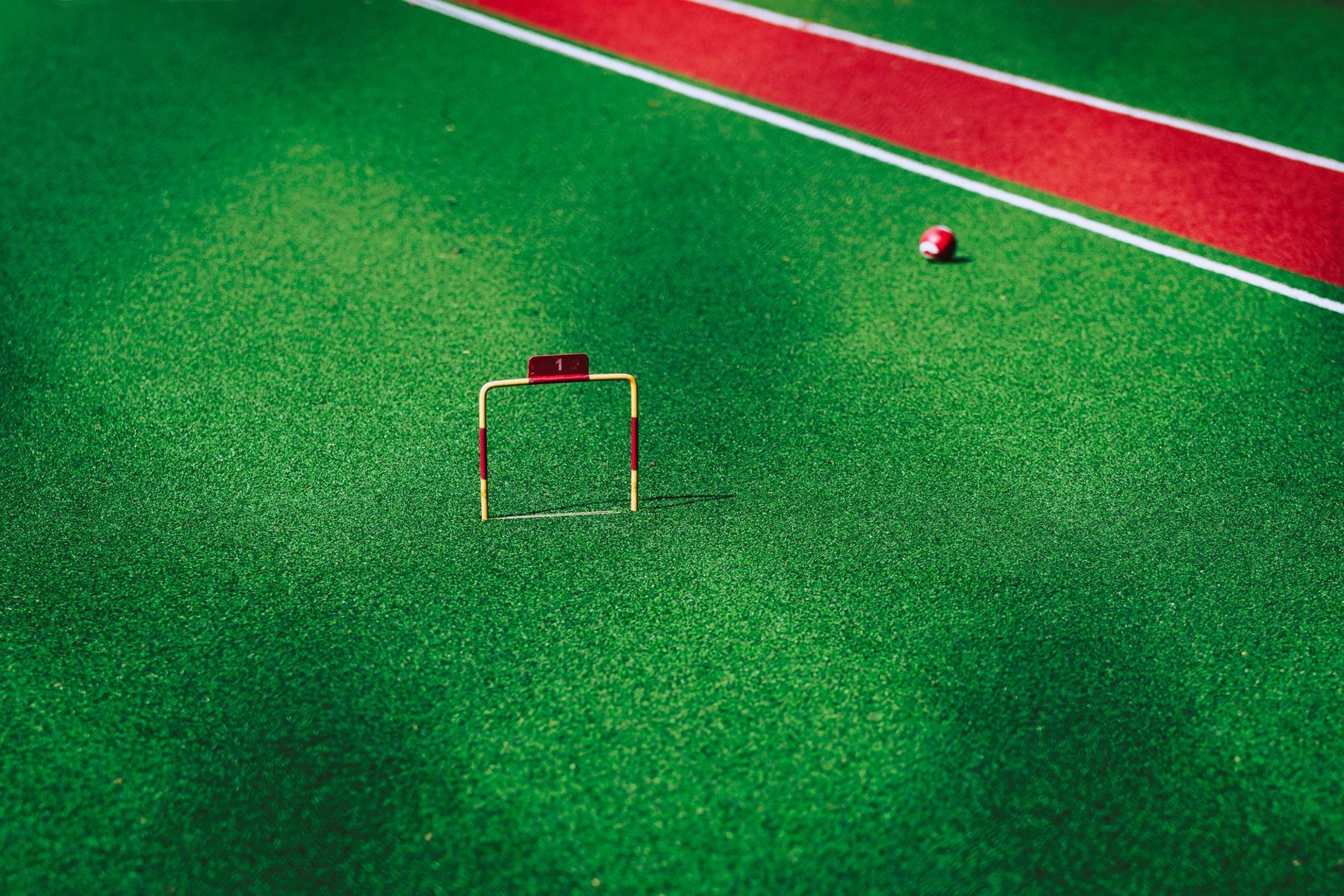 Sports & Fitness Turf in Goodyear AZ